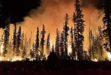 wildfire